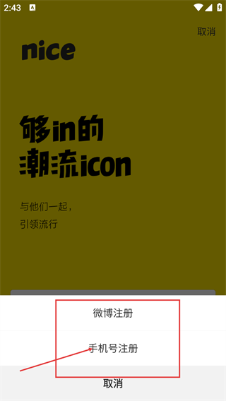 nice滤镜