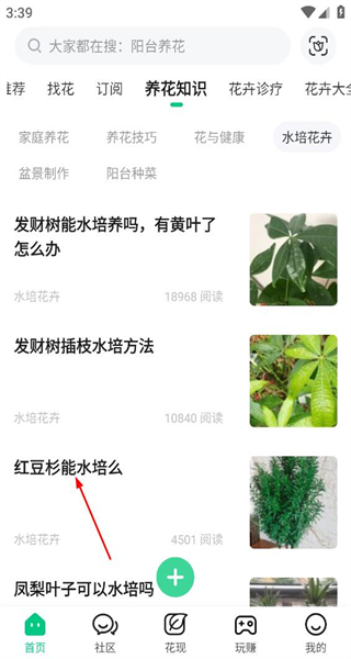 养花大全