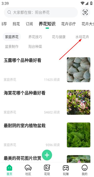 养花大全