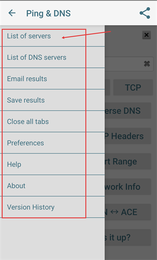 Ping/DNS查询工具