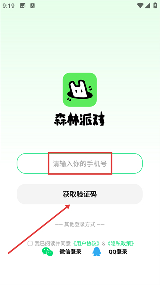 森林派对