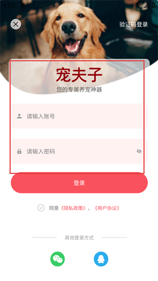 宠夫子