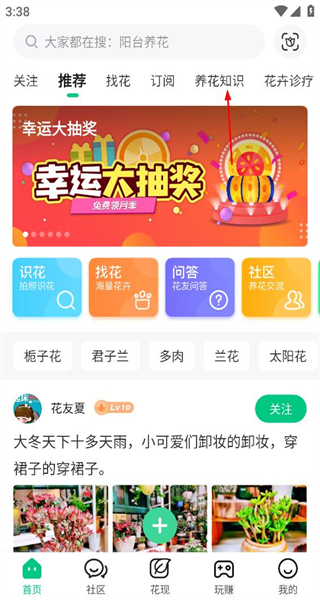 养花大全