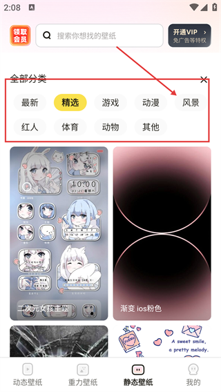 皮皮动态壁纸