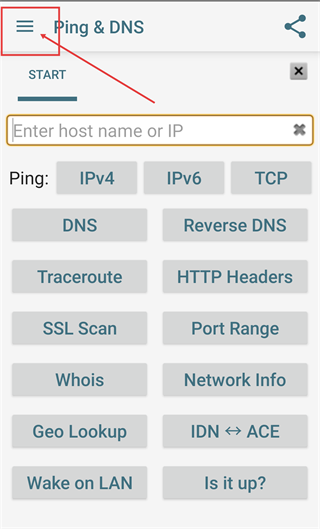 Ping/DNS查询工具