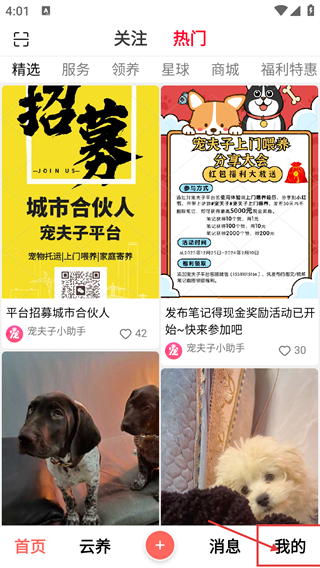 宠夫子