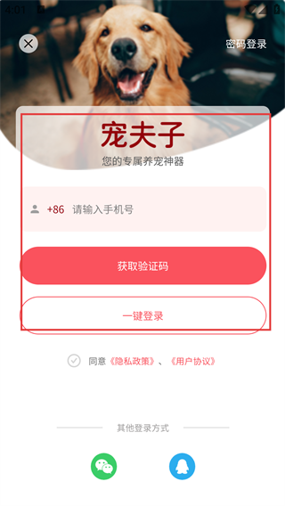 宠夫子