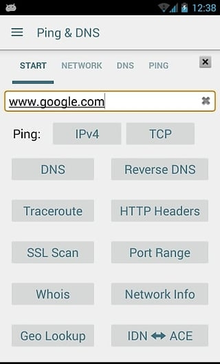 Ping/DNS查询工具