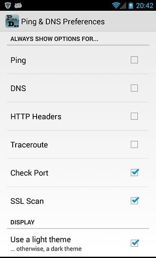 Ping/DNS查询工具