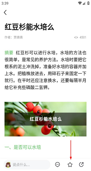 养花大全