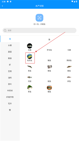八爪鱼智慧养殖