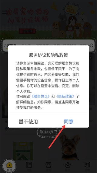 宠物伴你