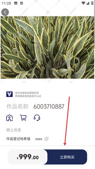 丝路版权网
