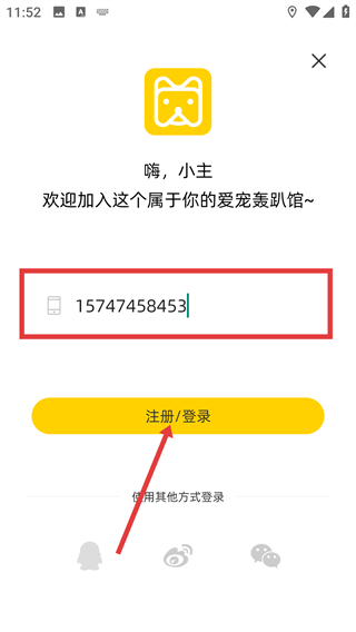 宠物伴你