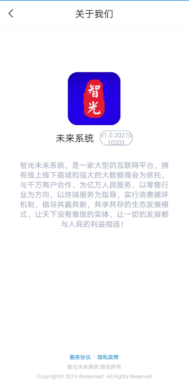 未来系统