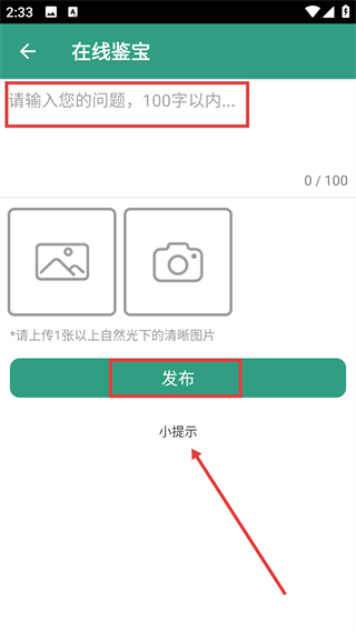 孙猴王翡翠