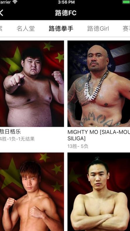 路德fc软件