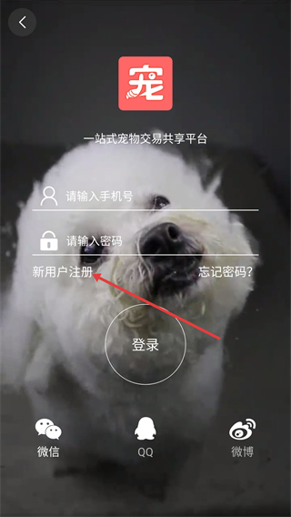 淘宠网