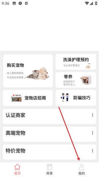 淘宠网