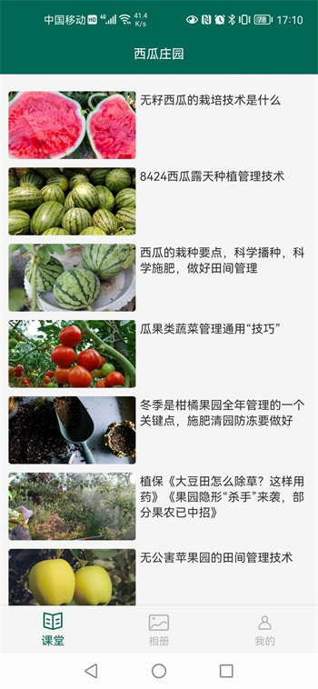 西瓜庄园