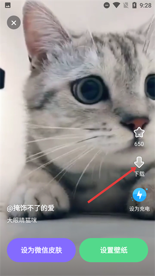 大众动态壁纸