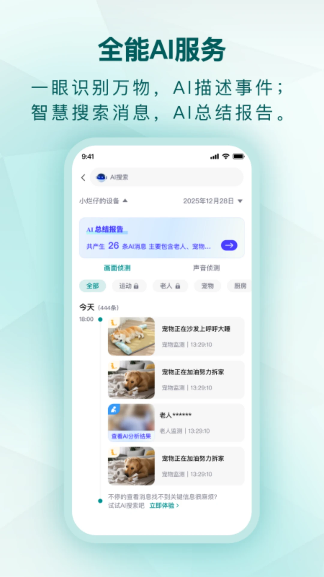 小鹤看家