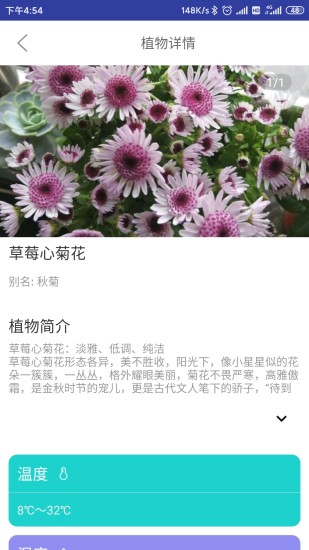 森林甜心app手机版