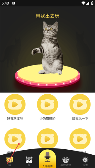 人狗猫交流器