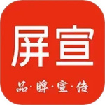 没找金掌柜