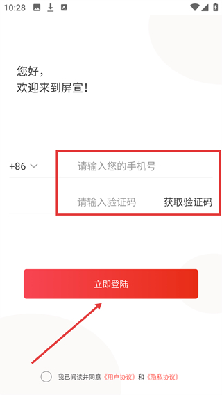 没找金掌柜