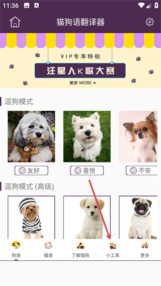 猫狗语翻译器