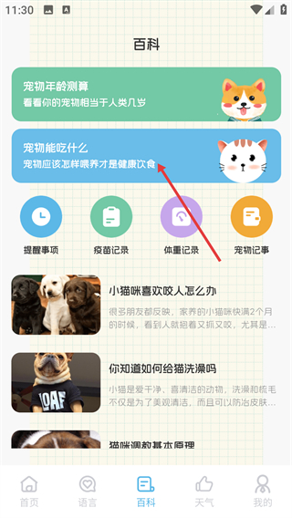 猫叫翻译器