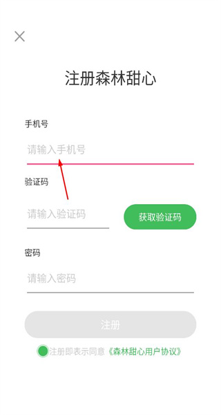 森林甜心最新版本