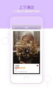 香芋最新版