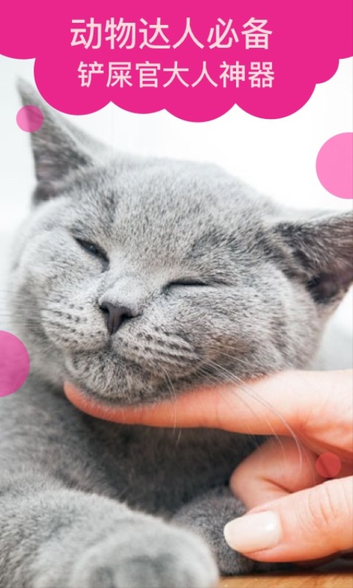 猫语翻译安卓版