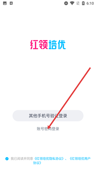 红领培优