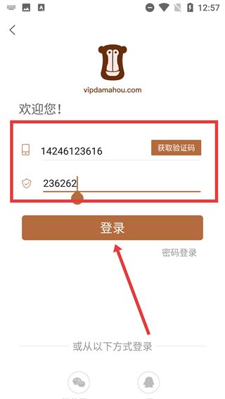 大马猴教育