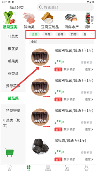 新沙未来