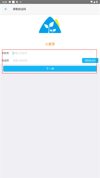 小麦芽