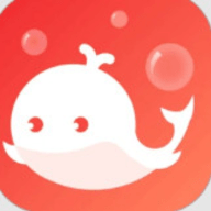 泡泡app最新版本