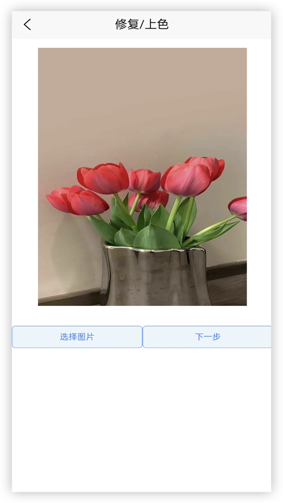 年龄相机手机版