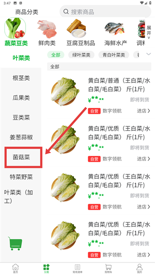 新沙未来