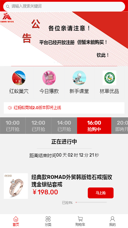 红蚂蚁