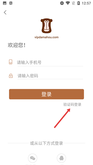 大马猴教育