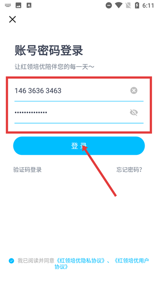 红领培优