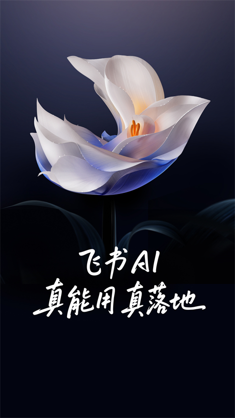 飞书