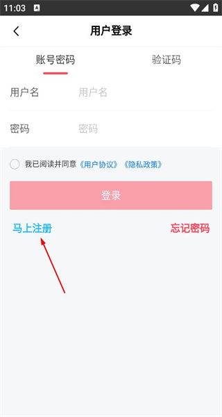 礼尚机场贵宾手机版