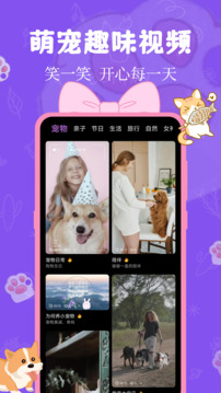 猫狗翻译器app手机版