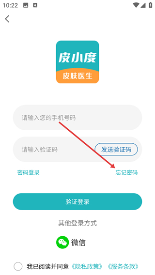 皮小度