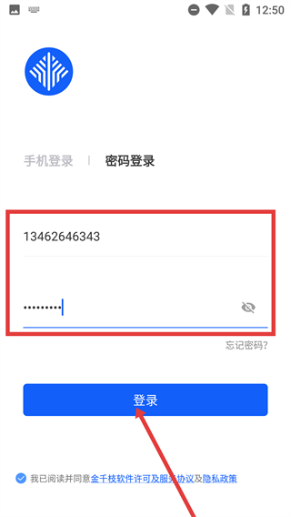 金千枝平台